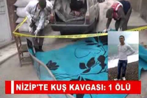 Nizip'te kuş kavgasi 1 ölü