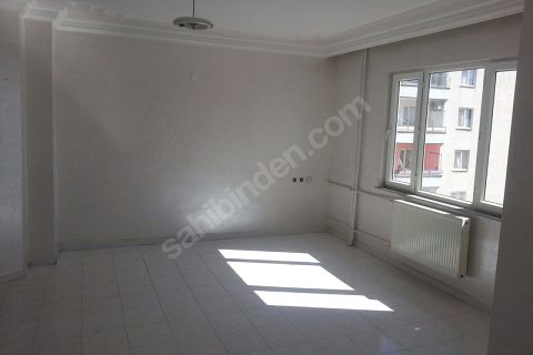 "belkis yağ" uluslararasi arenada