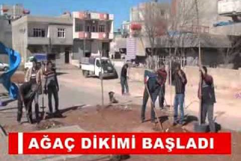 Karkamiş?ta yol çalişmasi