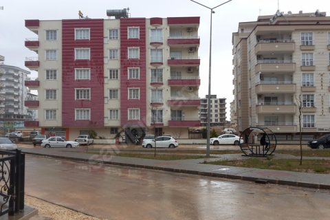 sıfır ayarında çok temiz kullanılmış 3+1 lüx daire