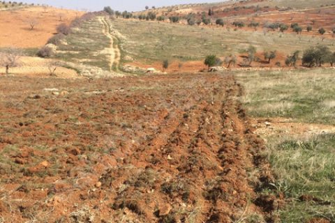 Kocatepede uygun tarla