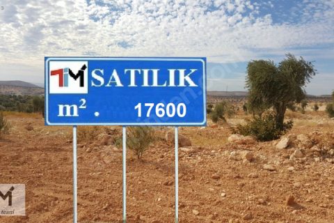 Nizip tilfar köyünde satilik fistiklik zeytinlik arazisi