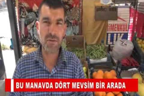 Bu manavda dört mevsim bir arada