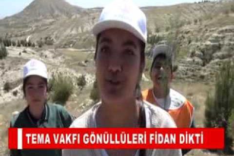 Tema vakfi gönüllüleri fidan dikti