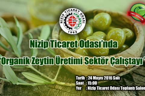NTO?da ?Organik Zeytin Üretimi Sektör Çalıştayı? Düzenlenecek