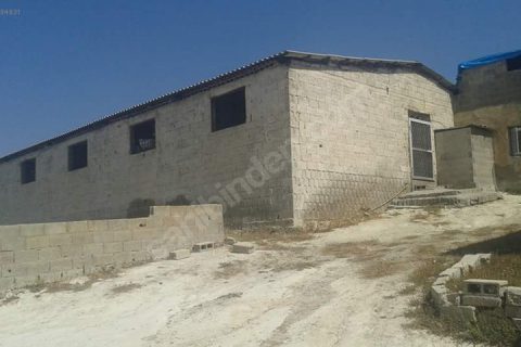 Sahibinden satilik çiftlik