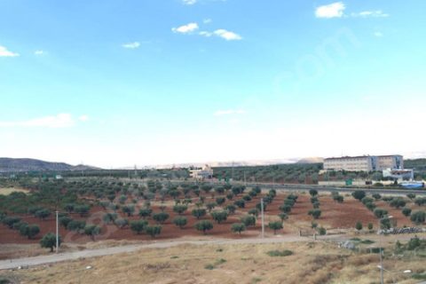 Acil satılık