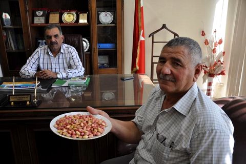 Beng fistiği yetiştirdi ödülü aldi
