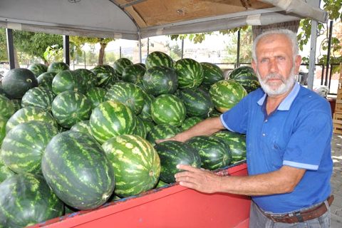 11 yillik karpuzcu yillara meydan okuyor