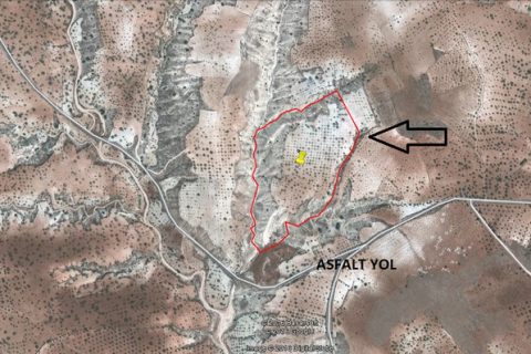 OĞUZELİ EMLAK'tan NİZİP SÖĞÜTLÜ'de SATLIK BÜYÜK FISTIKLIK