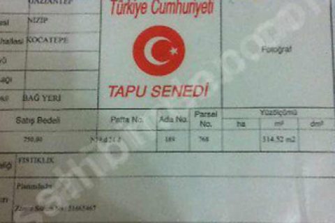 Nizip Kocatepe'de 314 metre bağ yeri.tektapu,yolu var,köşebaşı