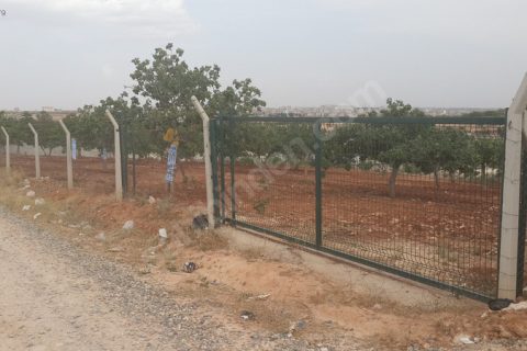 Uygar emlaktan satlik fistiklik 6100 m2