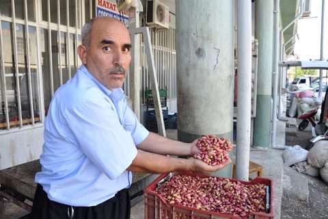 Nizip Fıstık Hali Hareketlendi