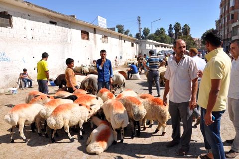 Kurban satişlari hizlandi
