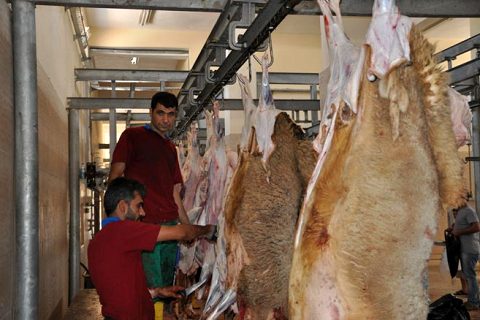 Nizip mezbahasi nda kurban kesim telaşi