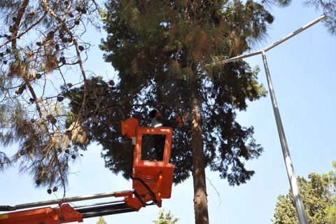 Parklarda sonbahar temizliği