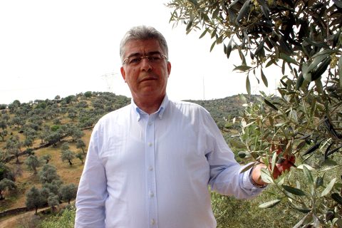 Nizip Zeytin ve Zeytinyağı Dünyaya Açılıyor