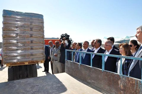 Büyükşehir belediyesi nden çiftçilere ücretsiz tohumluk buğday ve arpa dağitimi