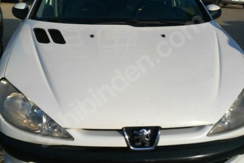 orjinal 206