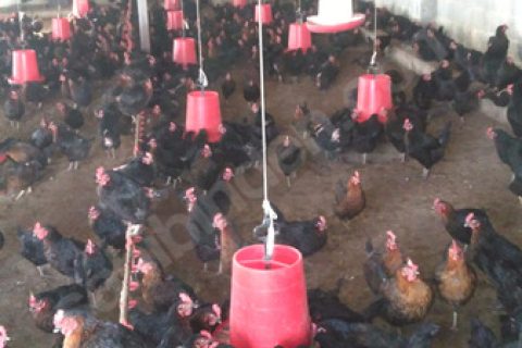 Açiklamayi okumadan karar vermeyin