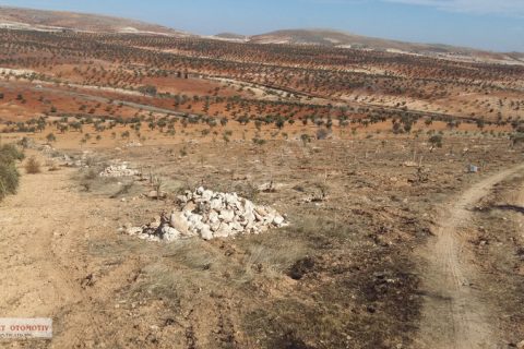 +sahibnden kocatepe 11.000-metre zeytinlik firsat
