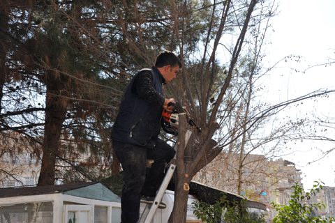 Osmanli parki yaza hazirlaniyor