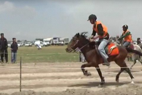 Rahvan at yarişlari nizip?te düzenlendi