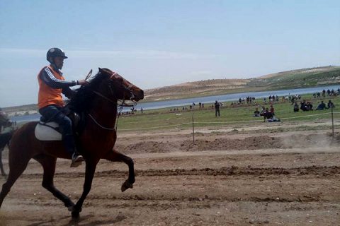 Rahvan at yarişlari nizip?te düzenlendi