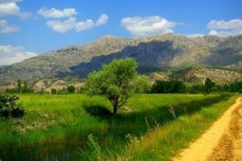 Memleket İsterim - Cahit Sıtkı Tarancı