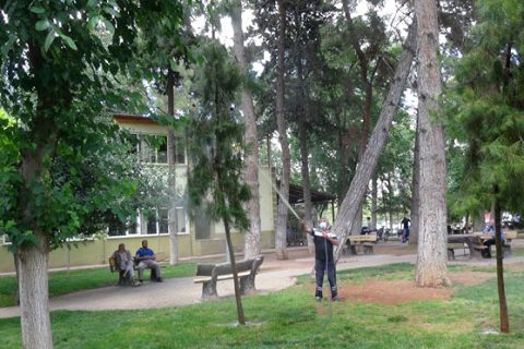 Parklar ilaçlanip temizleniyor