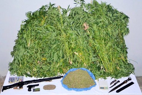 Nizip ilçesinde uyuşturucu operasyonu