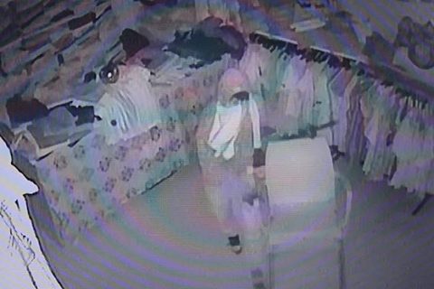 5 ayri suçtan aranan hirsizlik zanlisi yakalandi