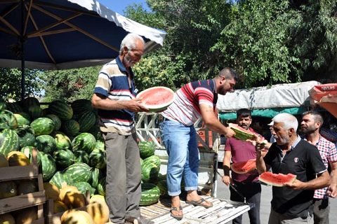 Kesmece karpuza yoğun ilgi