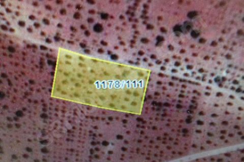 Yatirim gayrimenkulden saha mah şehir merkezine çok yakin arazi