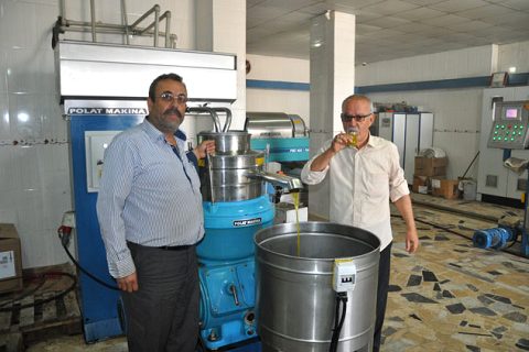 Ezici kontinü de ilk zeytin işlendi