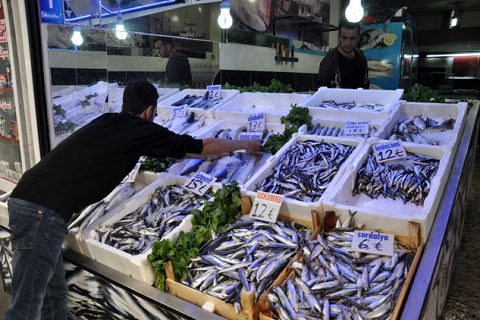 Balik sezonu başladi