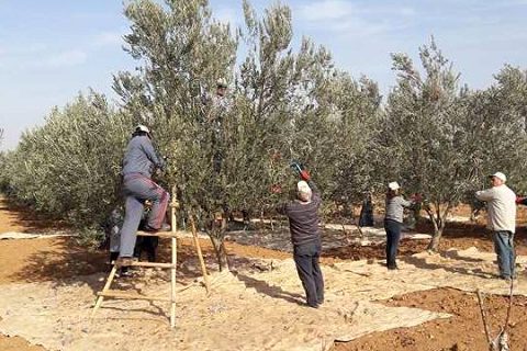 Suriyeliler uygulamali eğitime geçti