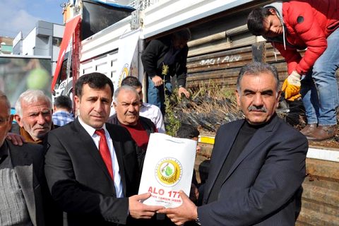 Ziraat odasinda balli ağaç dağitimi