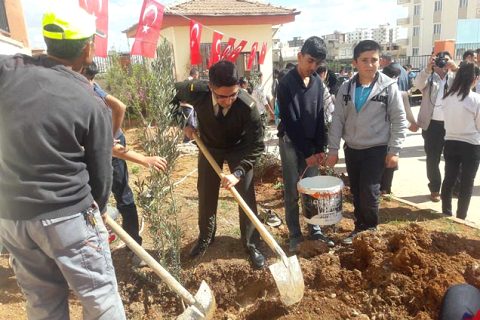 49 şehide 49 zeytin fidani