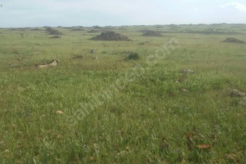 kocatepede uygun arazi