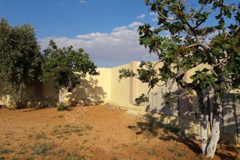 ** Nizip ÇİFTLİK bağ evi yeri manzarali