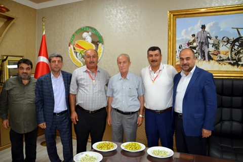 2018 yilinin ilk mahsul boz fistiği ödüllendirildi