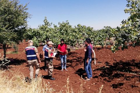 Fistik hirsizliğina karşi klip yaptilar