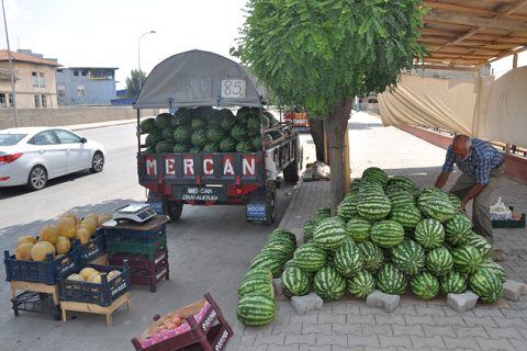 Karpuz fiyatlarinda artiş