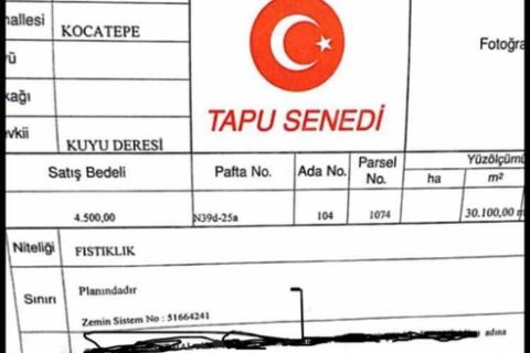 Gaziantep te acil satilik fistiklik