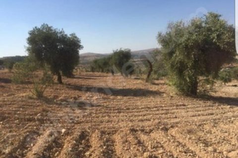 Fth real estate'den nizip sekilli de bağ evi yapmaya uygun arazi