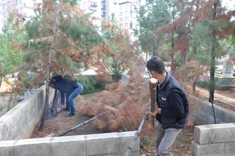 Nizip asri mezarliği nda kapsamli çalişma