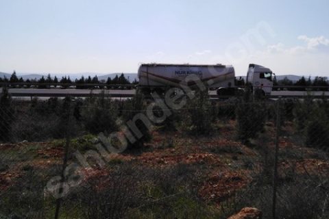 Kocatepe mah otobana sifir bakimli fistik lik