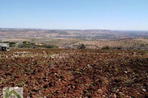 Dikime uygun yatirim amaçli satilik arazi