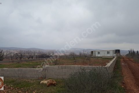 Fth gayrimenkul'den satilik bağ evi.
